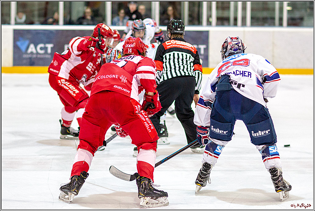 DNL-Playofffinale; Junghaie Koeln - Jungadler Mannheim, 20.03.2019